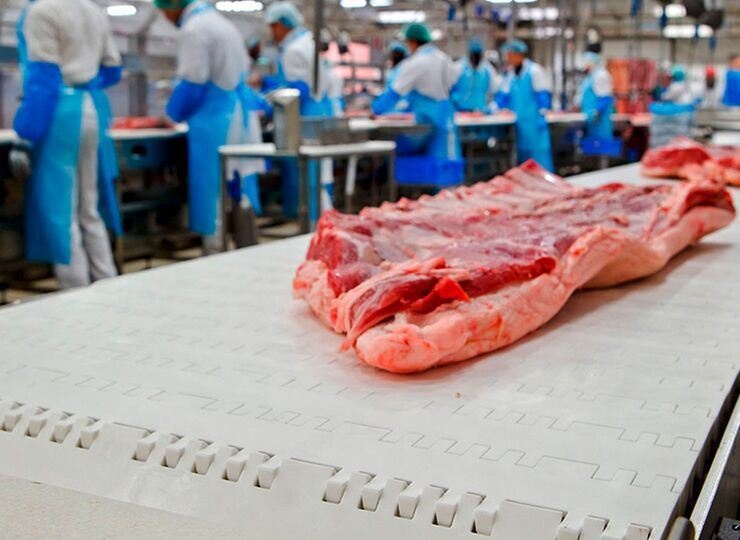 HE POM Conveyor Belt Production Line Meat Processing Line For Cattle Slaughterhouse