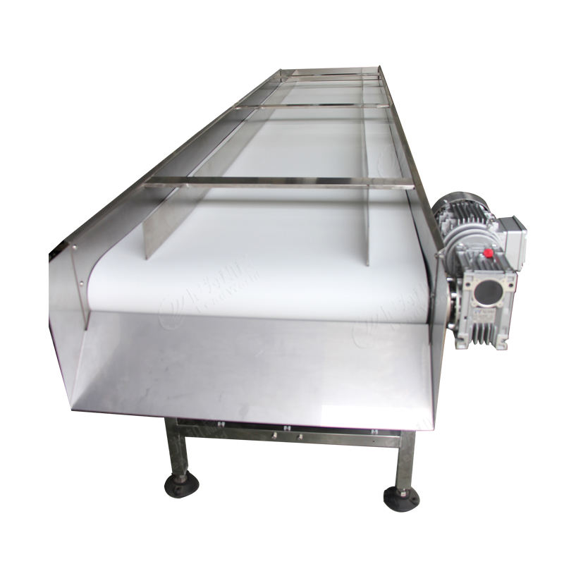 LeadWorld Custom Food Industry Vertical Vegetable Fruit Incline Flat PVC White Conveyor Belt System