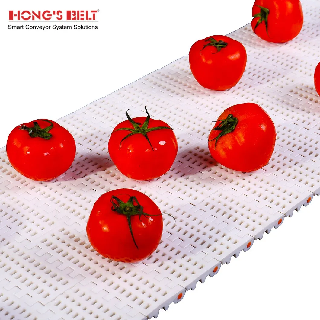 Food Plastic Modular Conveyor Belt Details 2