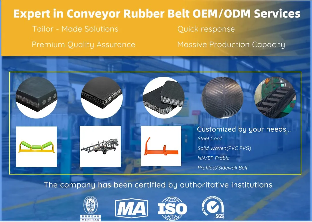 Conveyor Belt OEM/ODM Customization Services