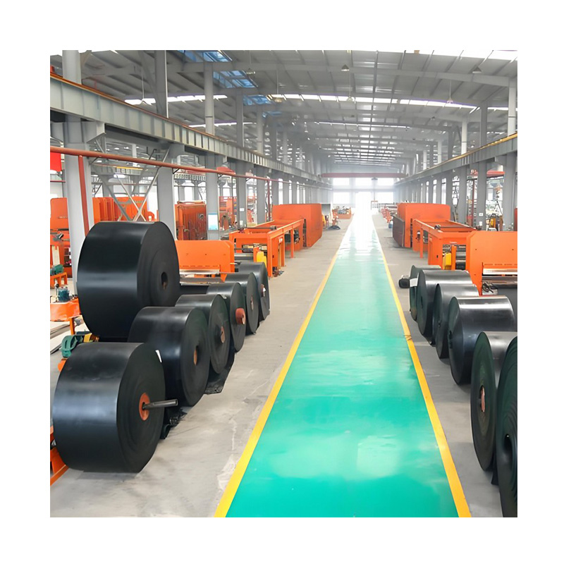 Manufacturer Heavy Duty Stainless Steel Conveyor Belt Adjustable Speed for Manufacturing Plant Industries