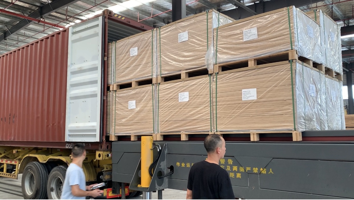 Mobile Belt Conveyor Loader for Truck Loading and Unloading with Adjustable Height Container Loading and Unloading Machine