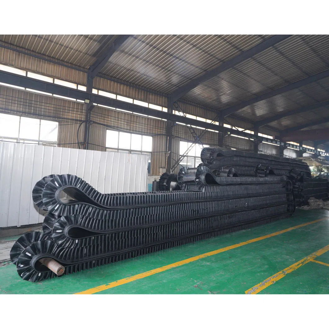 Conveyor Belt Details 5