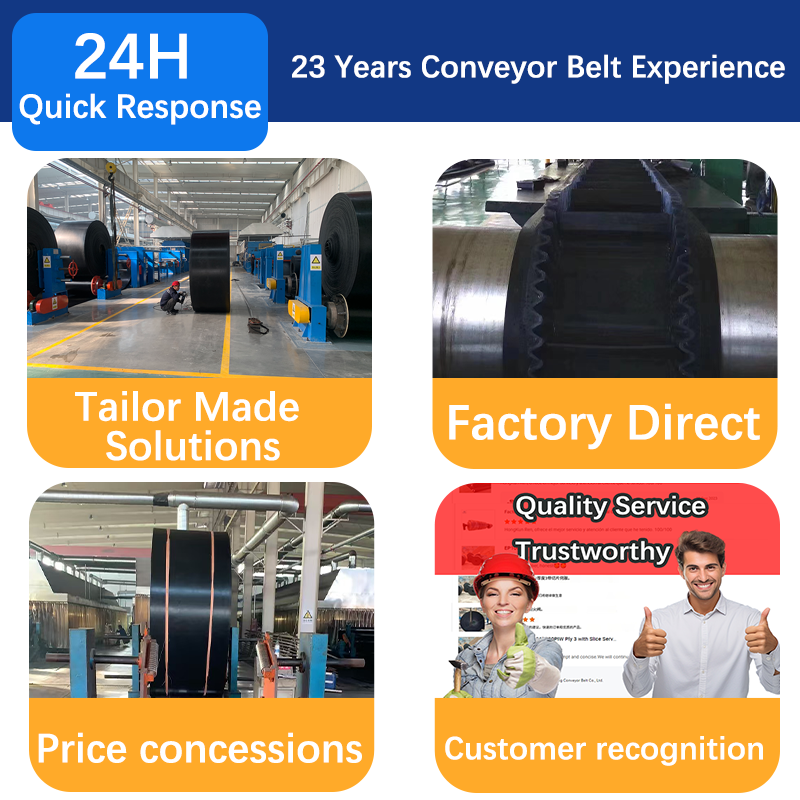 Customized Heavy-Duty Rubber Belt Conveyors Stainless Steel Belt Adjustable Speed for Coal/Stone with Price