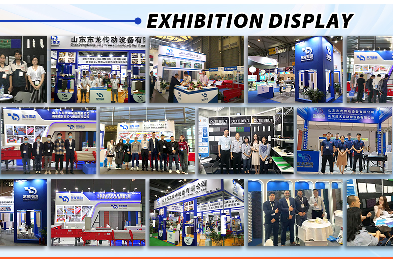 Exhibition Showcase 1