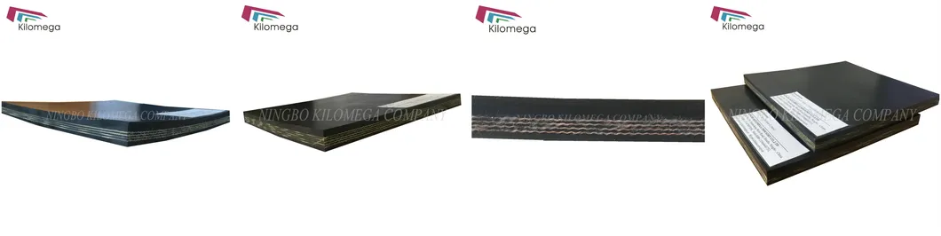 Conveyor Belt Details 1