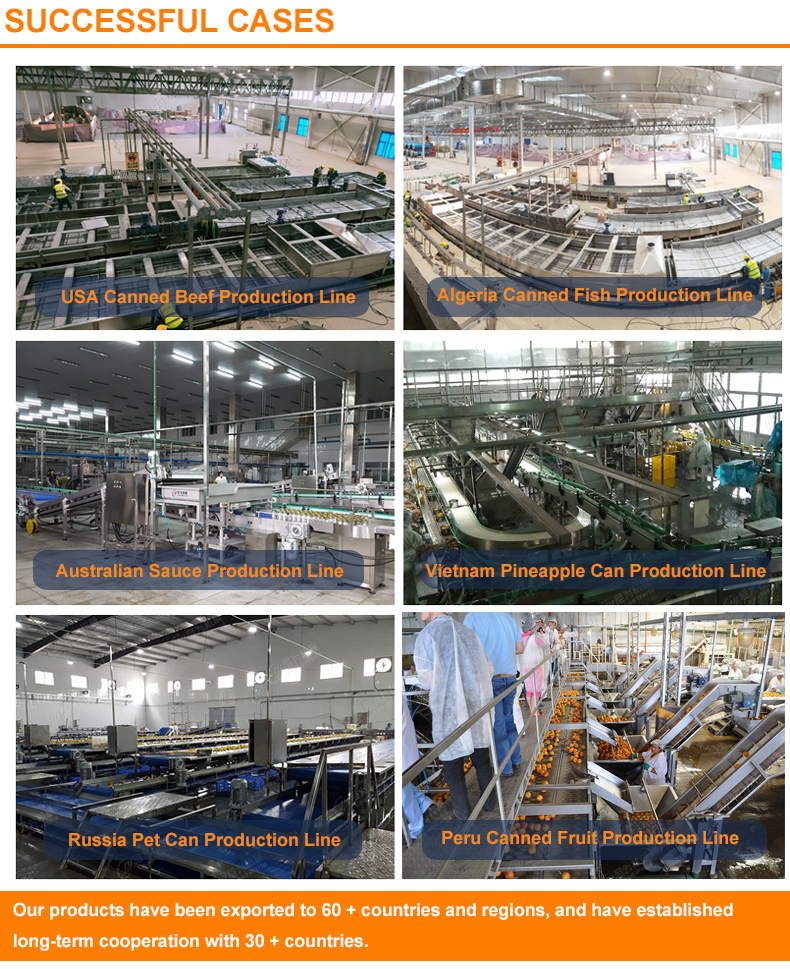Belt Conveyor Product Image 6