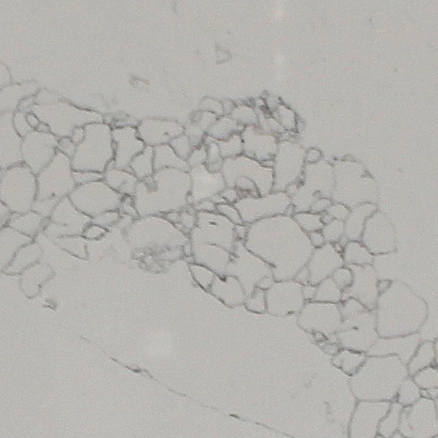 Caesarstone 5132 Statuario Marble Looking Calacatta Veined Quartz Stone Plate