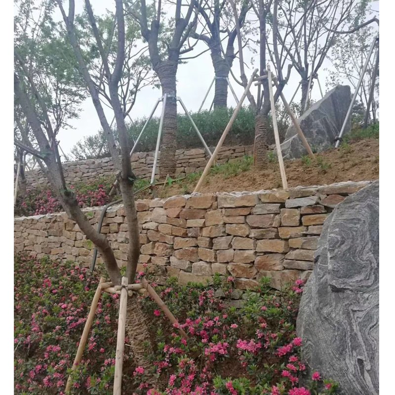 Brown Mixed Limestone Rock Face Outside Wall Stone Cladding