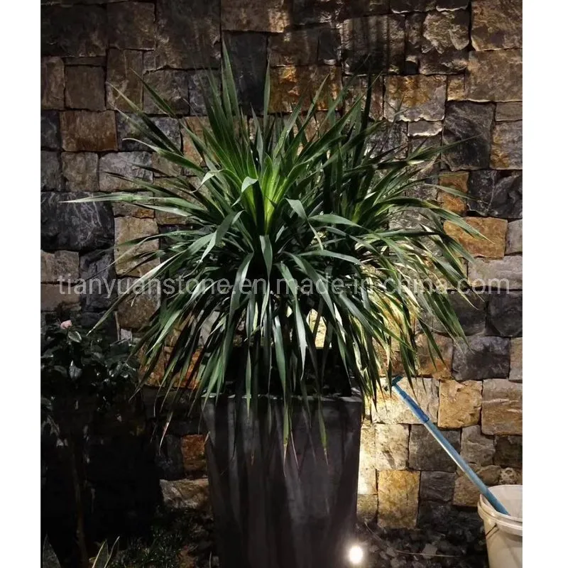 Brown Mixed Limestone