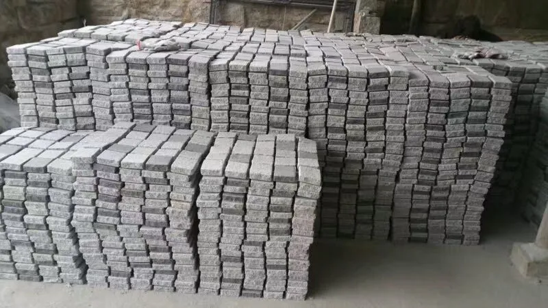 Flagstone with Net 2