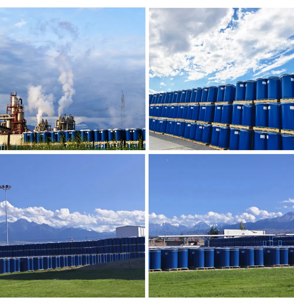 Tomato Paste Detail 9