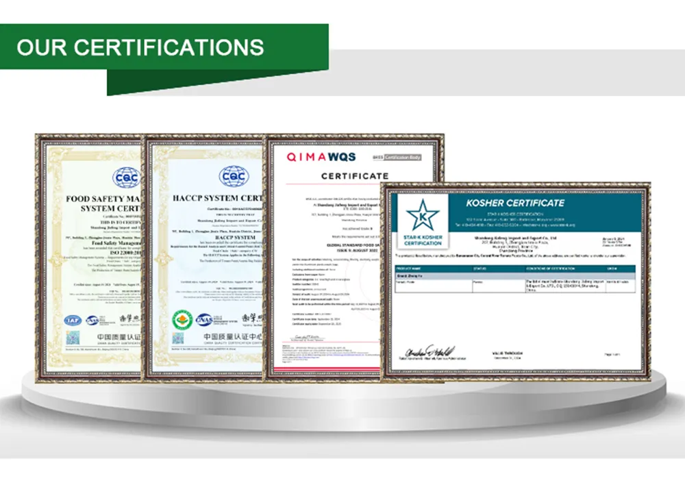 Tomato Paste Detail 11