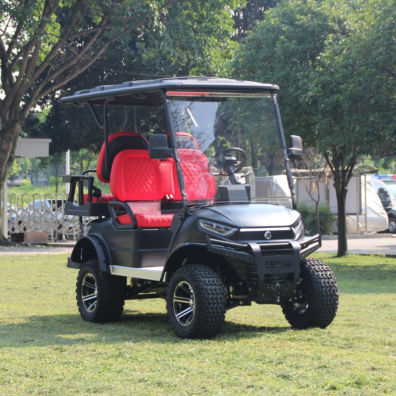 Four-Seat Golf Cart with Advanced Double-a Arm Suspension System
