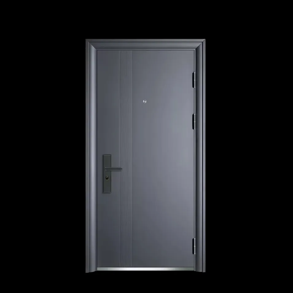 Security Door Detail 2