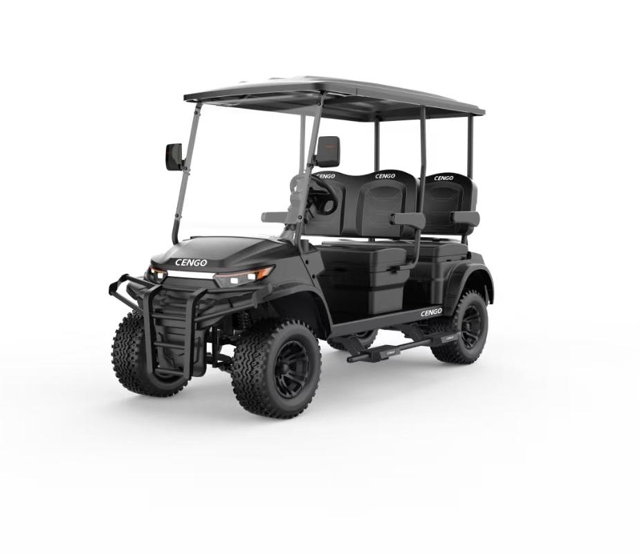 Black Golf Car with 12inch off-Road Tyres and Lithium Battery for Sale