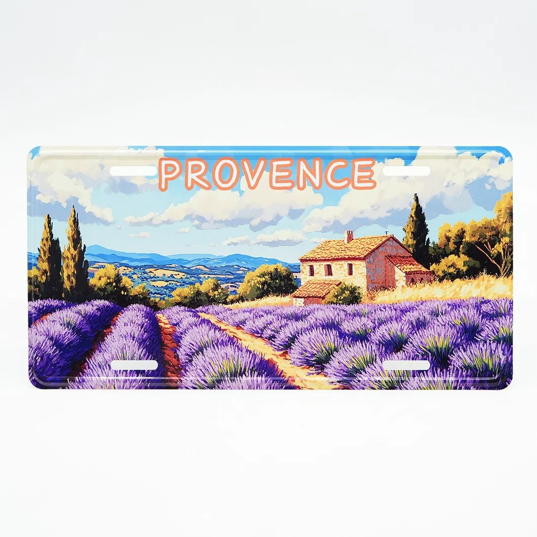 Souvenirs License Plate