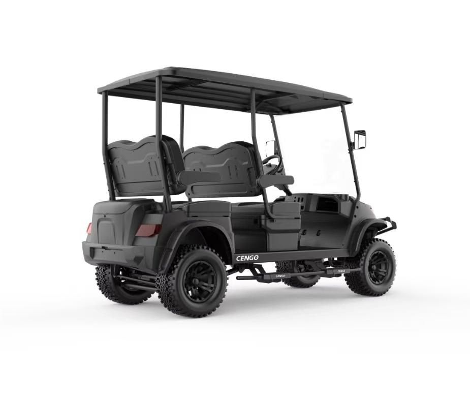 Black Golf Car with 12inch off-Road Tyres and Lithium Battery for Sale