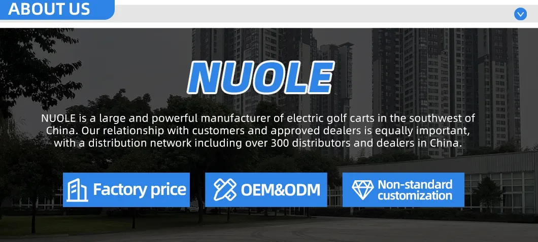 Customized Golf Cart Design