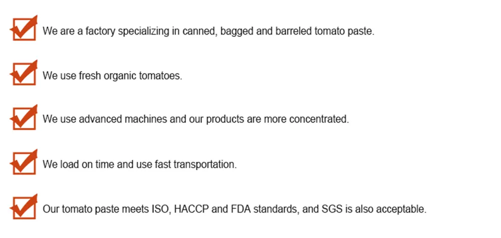 Tomato Paste Detail 10