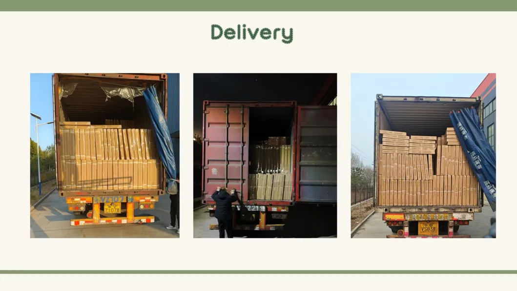 Shipping and Logistics