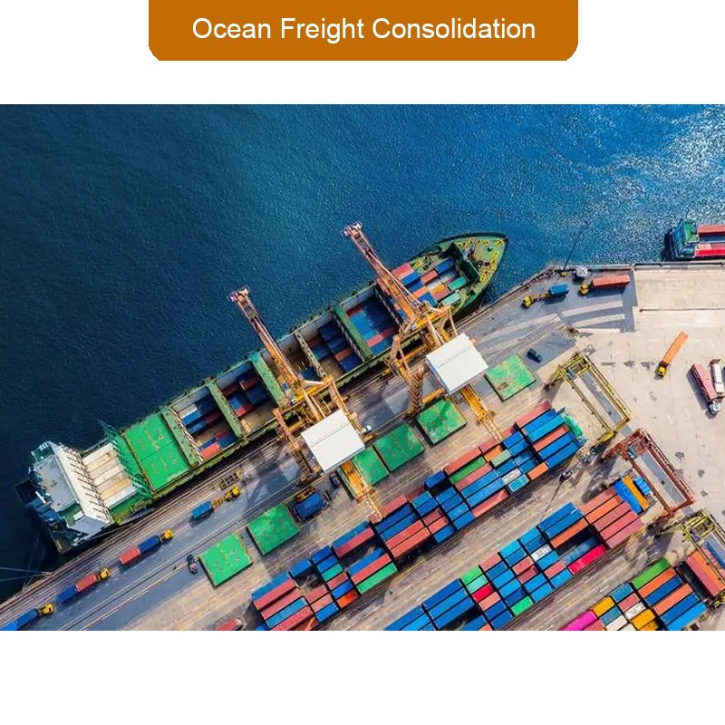 Top Online Shop Website Order Fulfillment Services to USA