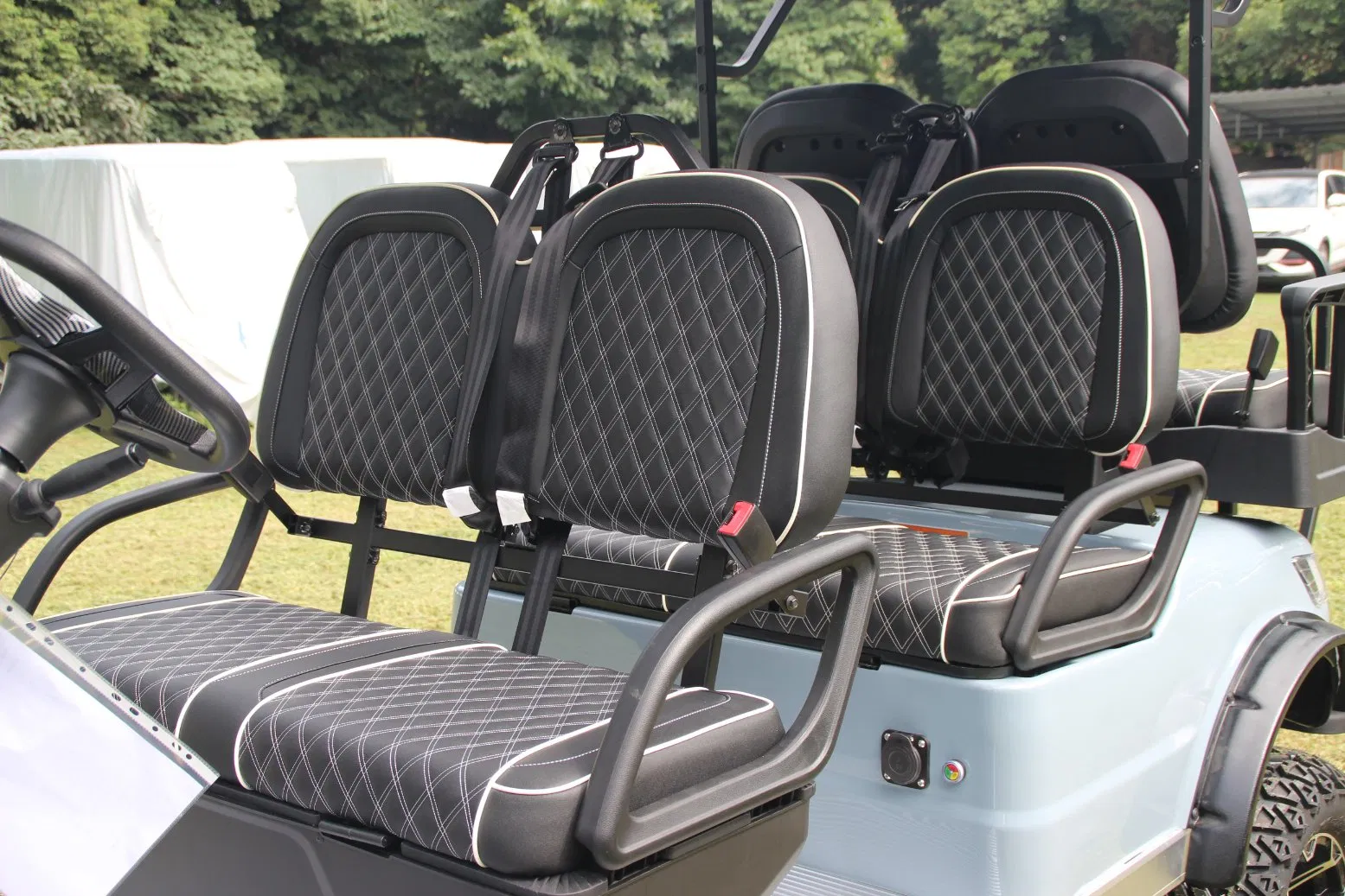 2 4 6 8 Seater Electric Power Operated Golf Cart with Cheap Price Hunting Buggy Club Car for Sale