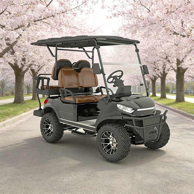 2025 Electric Golf Cart with 48V Lithium Battery and 5kw Motor 5 Years Warranty