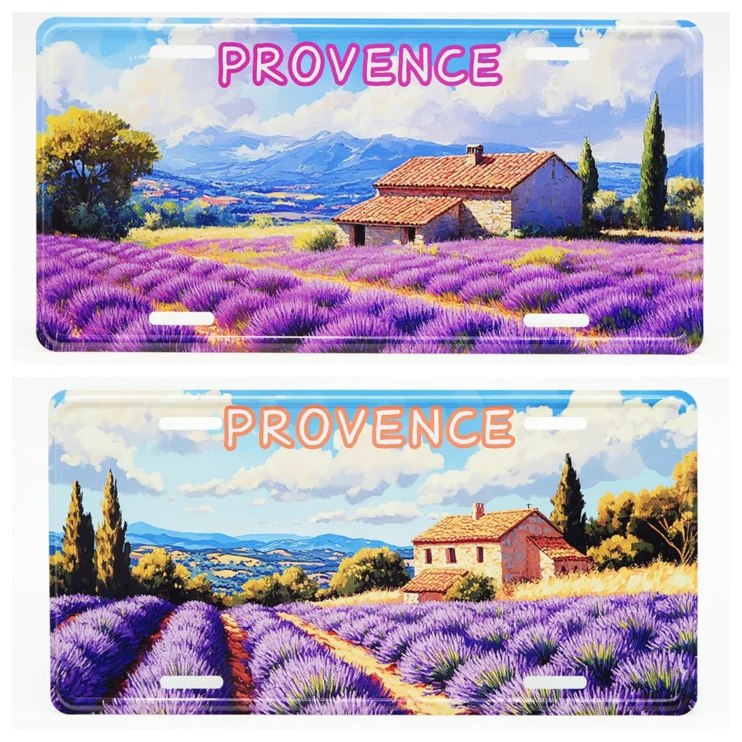 Souvenirs License Plate