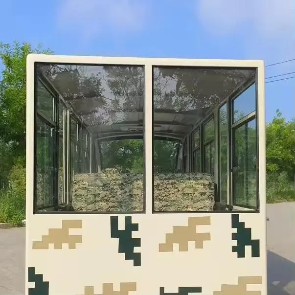 Electric Sightseeing Car Detail