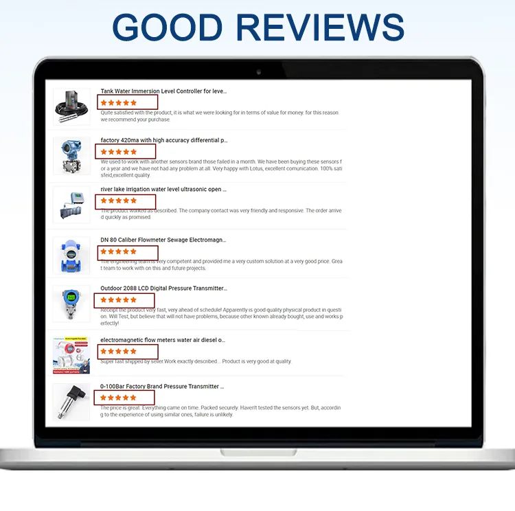 Ultrasonic Flow Meter 20