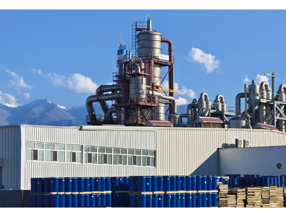 Tomato Paste Detail 7