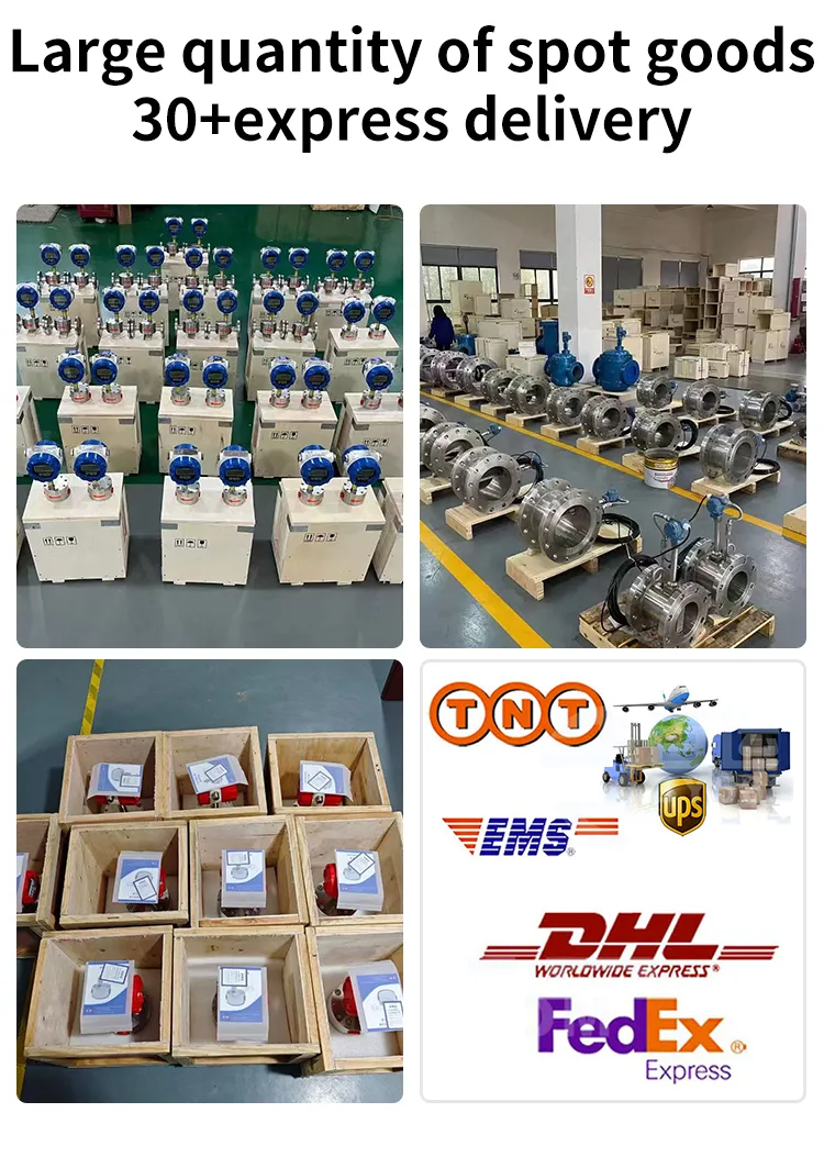 Ultrasonic Flow Meter 21