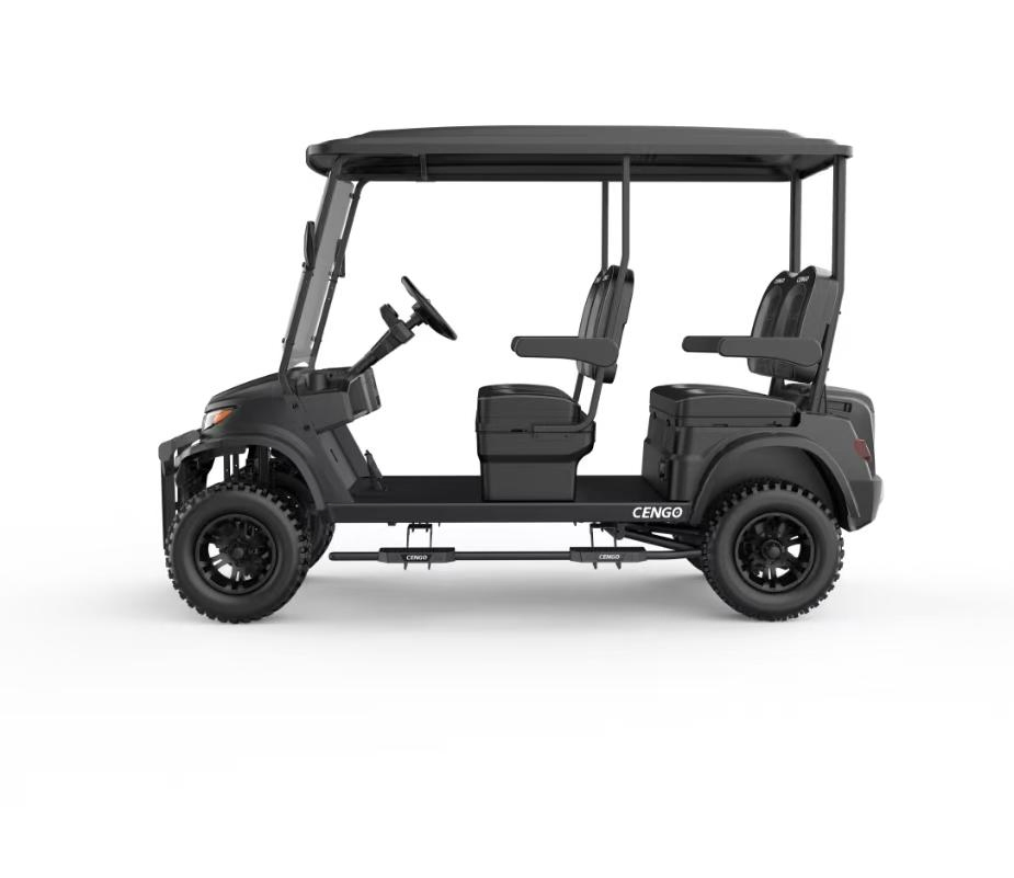 Black Golf Car with 12inch off-Road Tyres and Lithium Battery for Sale