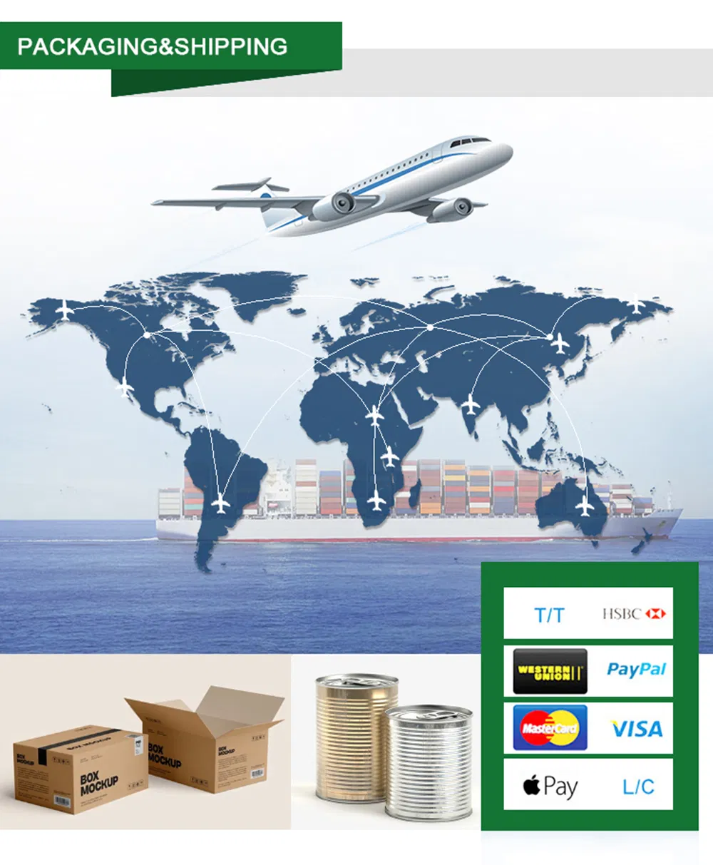 Tomato Paste Detail 12