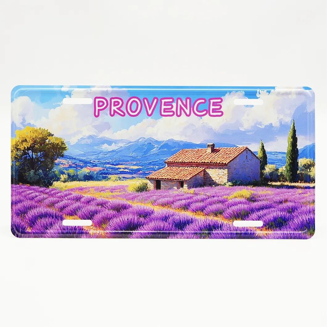 Souvenirs License Plate