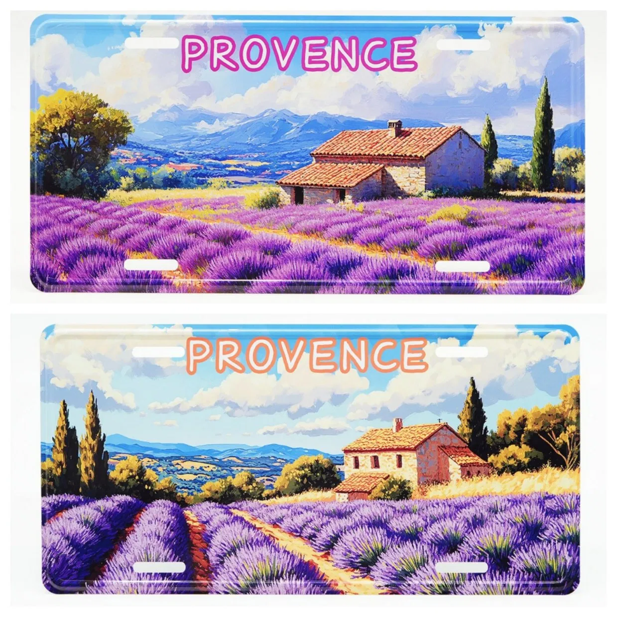 Souvenirs License Plate Metal Decorative Wall Hang Aluminum Embossed Print Tourism Novelty