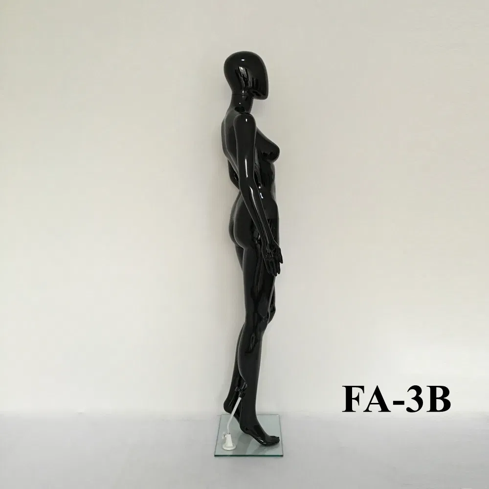 Display Model View 2