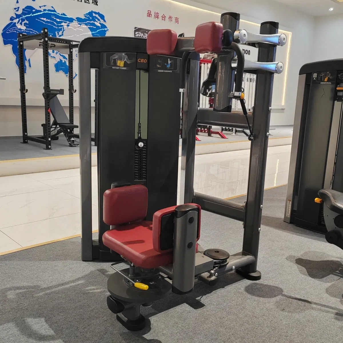 Professional Pin Loaded Rotary Torso Gym Machine Heavy Duty for Torso Strength Building