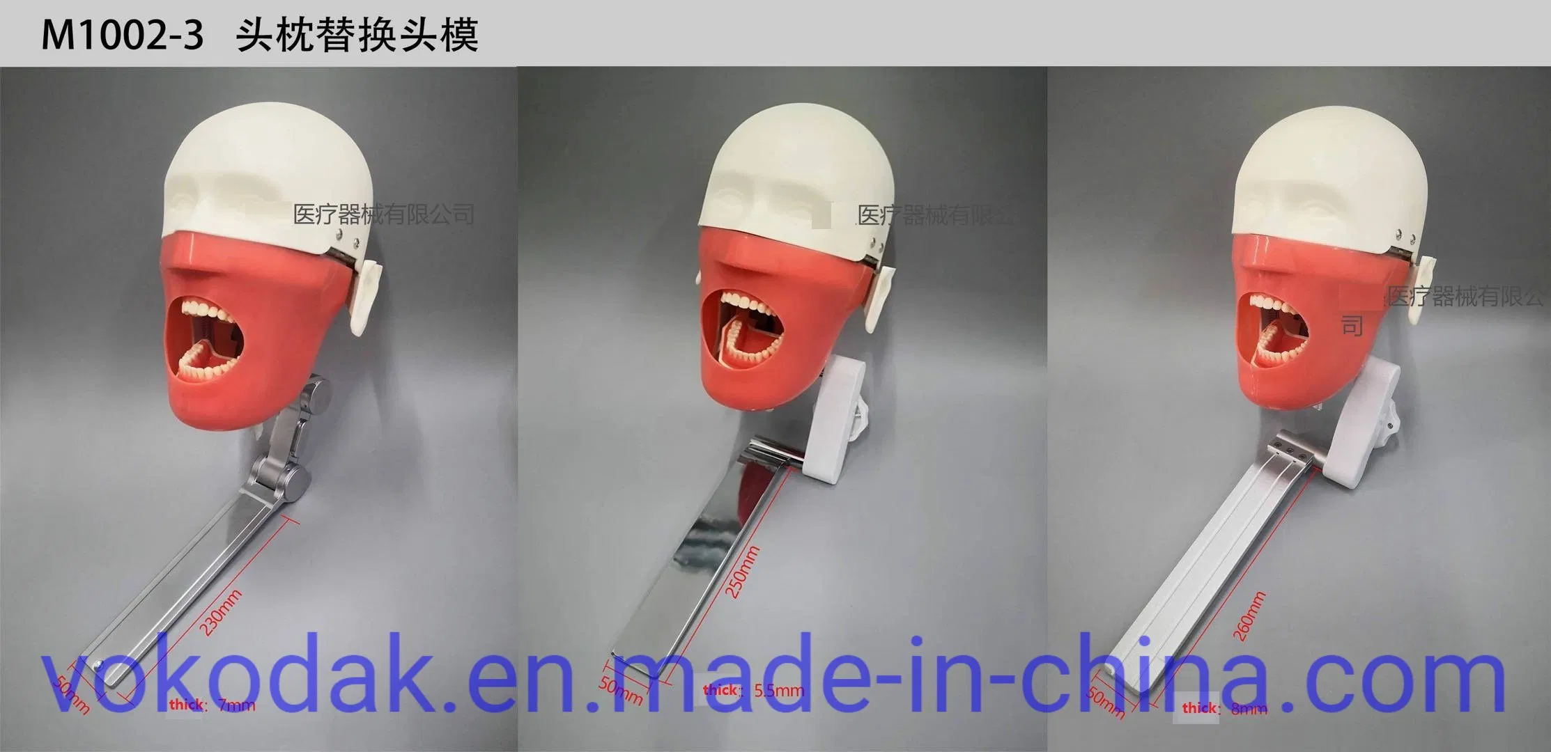 Dental Simulation Practice Phantom Head Torso for Dental School University Clinics Study and Training