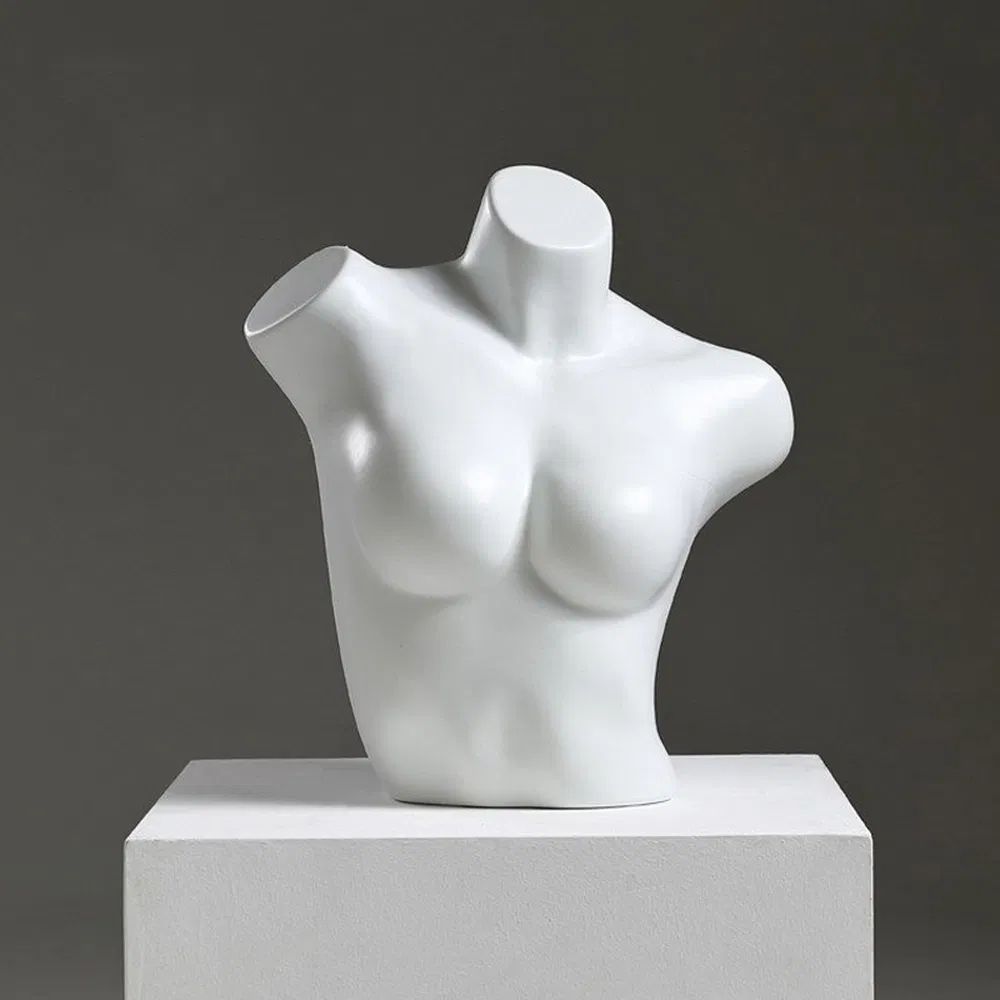 Best Quality Chest HIPS Mannequin in Glossy/Matte Skin/White with Plastic/Metal Base Made of PP/PE/ABS/Fiberglass for Male/Female Underwear/Underpants Display