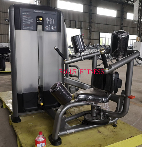 Professional Gym Body Building Rotary Torso for Sale