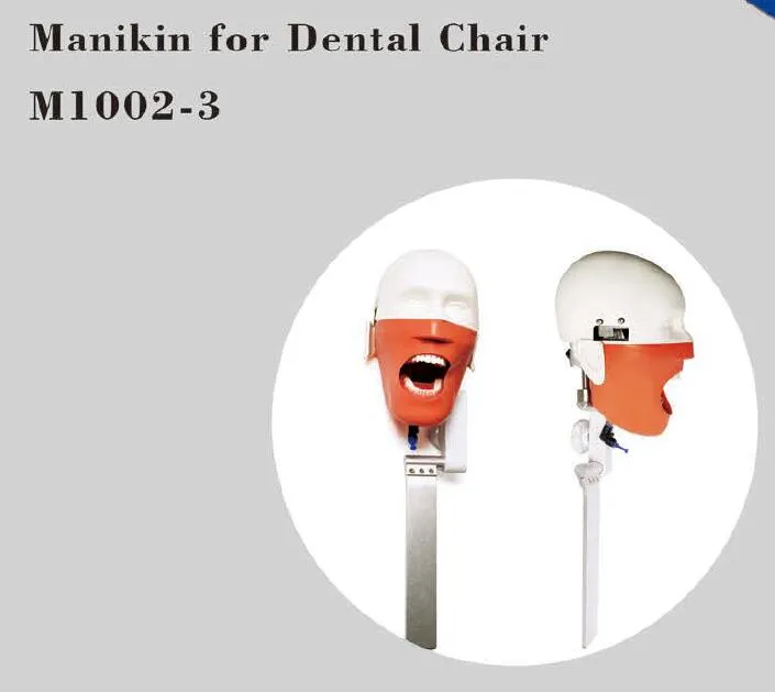Dental Training Simulation Equipment