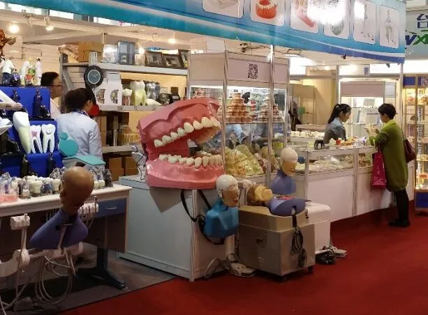 Dental Phantom Head Torso Close-up