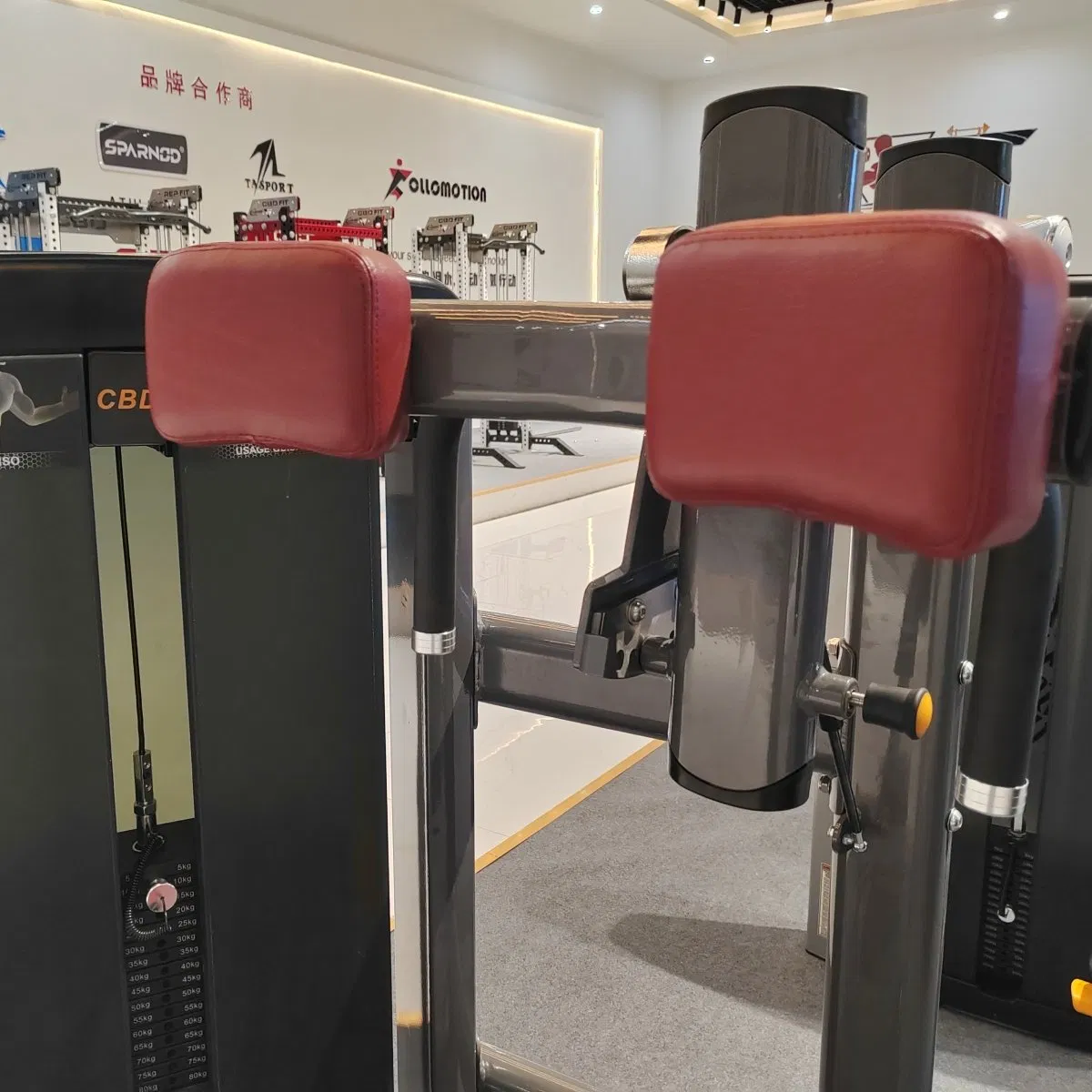 Professional Pin Loaded Rotary Torso Gym Machine Heavy Duty for Torso Strength Building