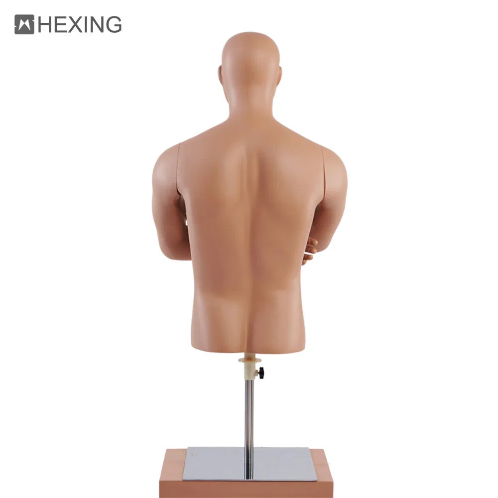 Skin Color Torso Forms Half Body Male Mannequin for Tshirt