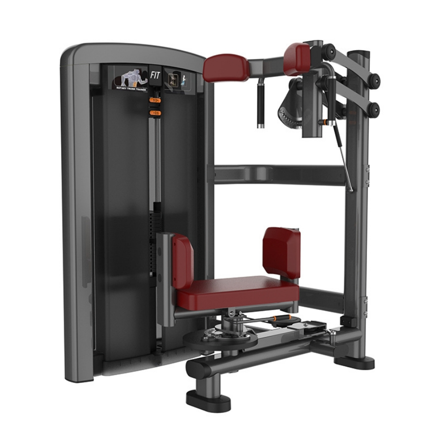 High Quantity Commercial Gym Equipment Rotary Torso Machine for Waist Strength Steel Fitness Equipment