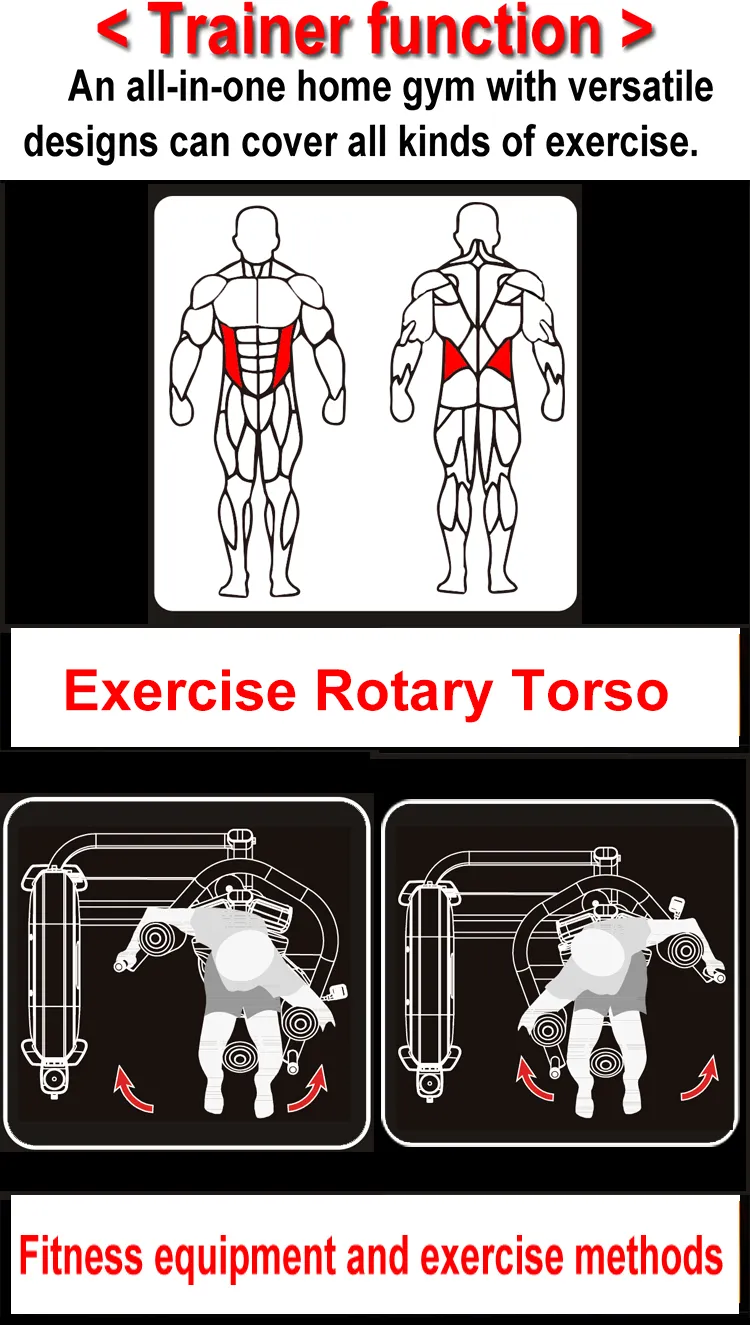 Rotary Torso Machine 2