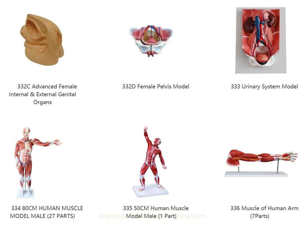 Detailed Component View