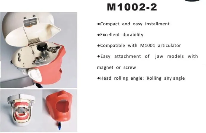 Dental Simulator Component Display